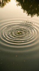 Calm Water Ripples Created by Droplet on Serene Reflective Surface at Dusk