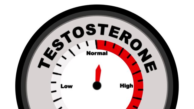 Testosterone text or word with a barometer or tachometer-style gauge, illustrating varying levels of testosterone in the body and its impact on health