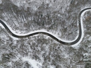 Winding Winter Road Through Snow-Covered Forest, Aerial View
