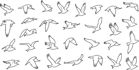 Obraz premium Minimalist Flying Birds Line Art Silhouette Collection with Simple Avian Flight Sketches