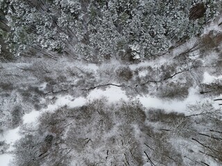 Aerial View of Snow-Covered Forest with Path and Small Stream