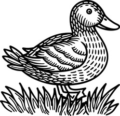 Fototapeta premium Illustration of a duck standing on grass with detailed feather and body texture in black and white