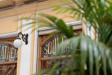 Decorative window with plant and light fixture.. Ronda, M&aacute;laga, Spain
