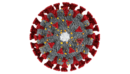 Artistic top-down illustration of a spherical virus, showcasing spikes, color gradients, and internal structure