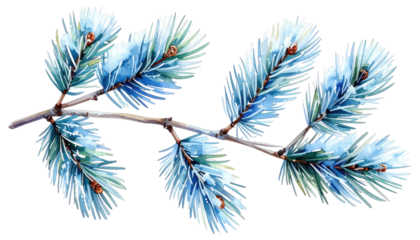 A delicate watercolor illustration depicts a wintry pine branch with icy blue needles and small, brown cones, set against black