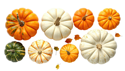 Assortment of diverse gourds isolated on black background, showcasing seasonal harvest