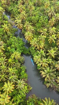Drone shot of a peaceful blue canoe trip on the Maasin River, around a forest of palm trees and others tropical vegetation. Siargao, Philippines,