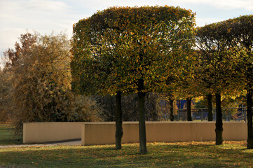 B&auml;ume in einem Park in Hannover