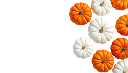 Assortment of vibrant pumpkins, orange and white, arranged against a black backdrop