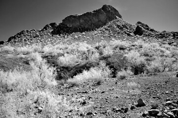 Monochrome Sonoran Desert Arizona Picacho Peak State Park