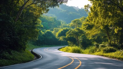 Fototapeta premium Empty winding road surrounded by lush green trees and natural forest. Scenic highway for road trip travel and nature exploration.