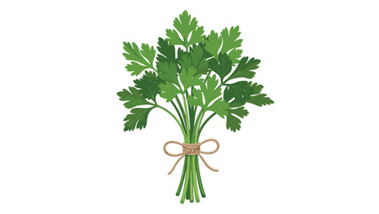 A bunch of fresh parsley tied with twine.