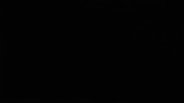 Lightning Strikes and Crackles Across Screen.