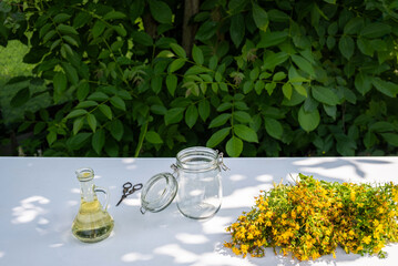 St. John's Wort Oil Recipe Step 1: Ingredients Preparation