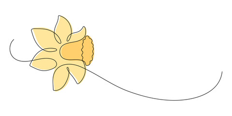 Daffodils. Continuous line drawing. Frame border.
