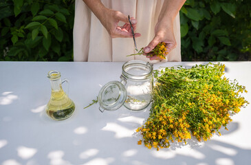 St. John's Wort Oil Recipe Step 4: Woman Cutting Hypericum Flowers