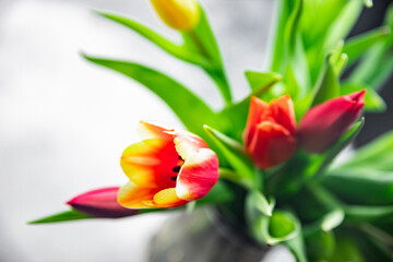 Obraz premium Beautiful tulip flower bouquet on light background