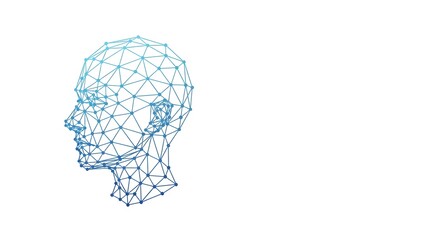 A wireframe 3D model of a human head in blue lines and geometric shapes on a white background