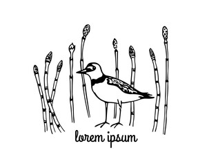 Vector card with hand drawn cute plover  in graceful floral wreath. Beautiful wildlife illustration, ink drawing, logo template