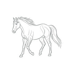 Obraz premium A detailed line drawing of a horse running with flowing mane and tail, depicted in a dynamic pose from a side viewpoint.