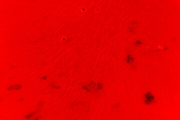 blood or paint splatters isolated on white background,graphic resources,halloween concept