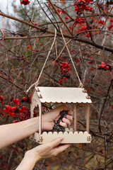 human hands put sunflower seeds in a bird feeder