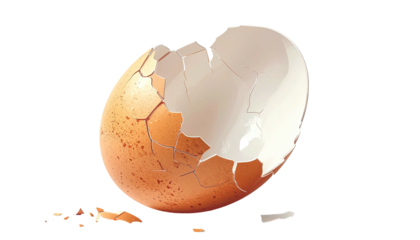 Close-up of cracked eggshell with remnants, against a black background