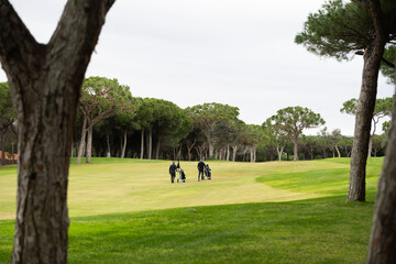 Obraz premium Group of elderly men , businesspeople and senior enjoy outdoor sport golfing together at country club . Healthy men golfer holding golf stick on fairway with talking together at summer sunset
