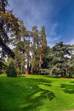 Thabor Park, Rennes, France