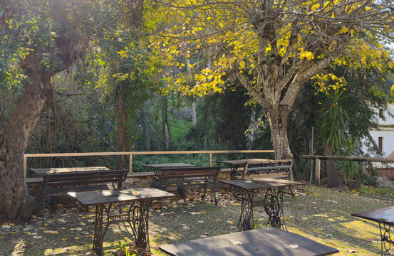 Wooden picnic table with bench in a public park, offering shaded spots beneath leafy trees.