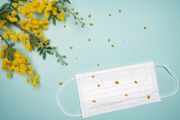 Mimosa flowers and white surgical mask for hay fever concept © Soft Grain Studio