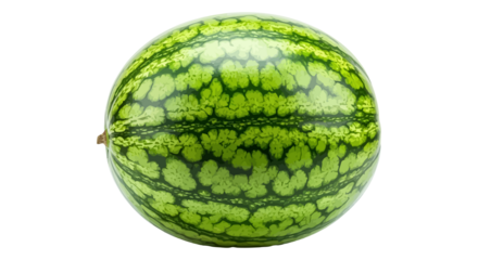 easter egg with green grass