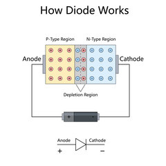 internal structure of a diode, showing P-type and N-type regions, depletion zone, and current flow diagram hand drawn schematic vector. Science educational illustration