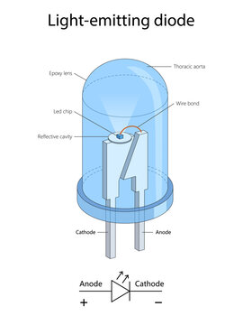internal components and function of a light-emitting diode, including anode, cathode, LED chip, and lens diagram hand drawn schematic vector. Science educational illustration