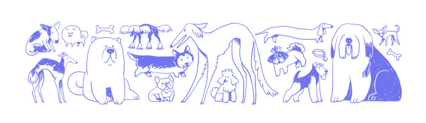 Doodle set of different dog breeds. Cute outline puppies of bulldog, poodle, corgi, dachshund. Funny pups, adorable pets, domestic animals. Flat hand drawn vector illustrations on white background.