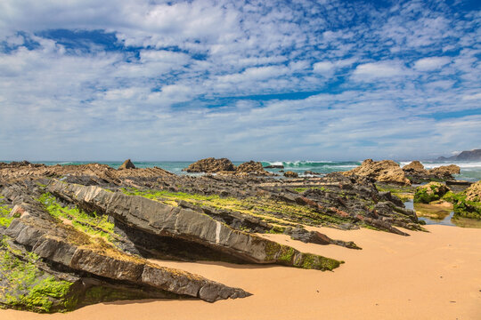 A panoramic view of Praia do Castelejo in the Algarve, Portugal, showcasing its wild, untamed beauty with golden sands meeting jagged, seaweed-draped rock formations under 