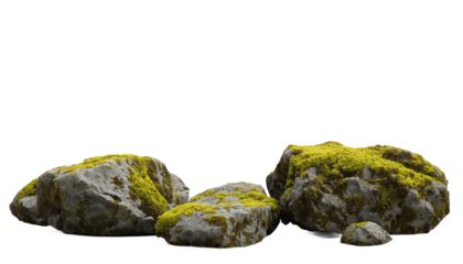 A close-up view of moss-covered rocks against a black background