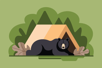 Peaceful Camping with a Black Bear, wildlife adventure concept