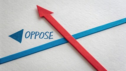 Red arrow pointing up and blue arrow intersecting against white background