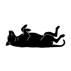 Black cat silhouette lying on its back, playful and relaxed.