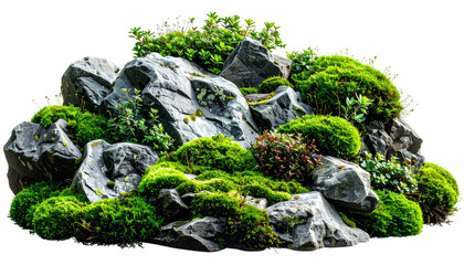 Close-up of rocks covered in lush green moss and small plants, artfully arranged