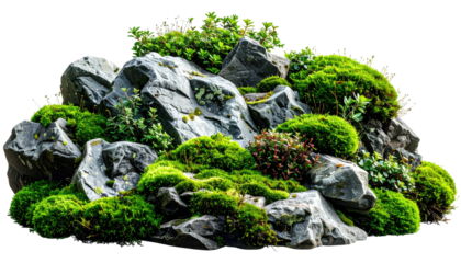 Close-up of rocks covered in lush green moss and small plants, artfully arranged