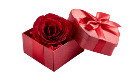 Opened red gift box with flower inside isolated on transparent background, presents for loved ones, gifts for valentines day