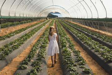 Girl walking down dirt path inside hoop house past raised beds covered in black plastic mulch