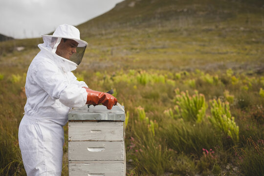 Male beekeeper wearing beekeeping gear, prying open hive box with metal tool in meadow, copy space
