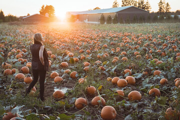 Man wearing vest, black pants walking through pumpkin patch at sunset carrying pumpkin, copy space