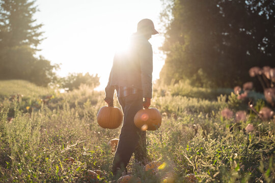 Man wearing baseball cap and jacket walking through pumpkin patch at golden hour carrying pumpkins