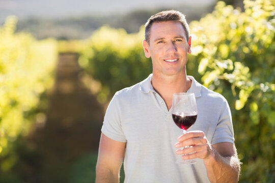 Man holding glass of red wine standing in sunlit vineyard row, with rolling hills in background