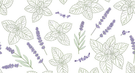 Fototapeta premium Delicate seamless pattern features detailed line art of fresh mint leaves and fragrant lavender flowers on a white background creating a soothing botanical design.