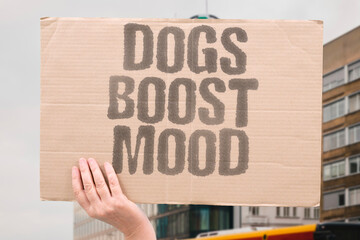"Dogs Boost Mood" Canine presence elevates human spirits daily. PETS. JOY. ENTHUSIASM. POSITIVE. ENERGY.